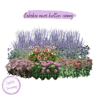 Bohókás mező kertterv csomag