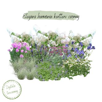 Elegáns harmónia kertterv csomag