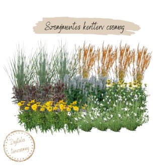 Szomjmentes mini kertterv csomag